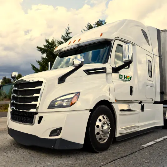 Truck form D' Hoy Distribution South Florida inc. delivering fresh produce