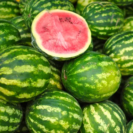 Watermelons - Fresh produce from D' HOY Distribution South Florida Inc.